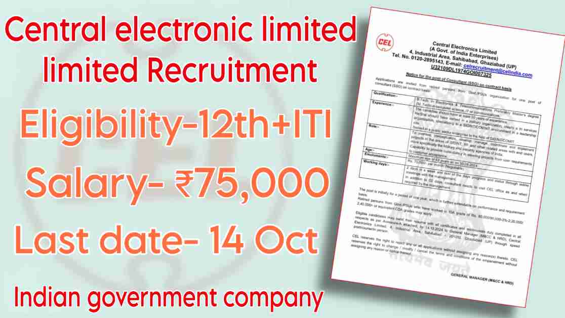 Central Electronics Limited Recruitment for Consultant- 2024